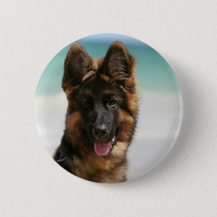 Long Haired German Shepherd Beach 2 Inch Round Button