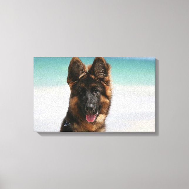 Long Haired German Shepherd Beach Canvas Print (Front)
