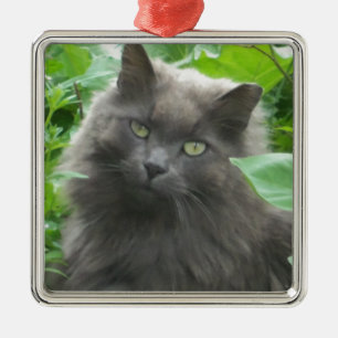 Long Haired Grey Russian Blue Cat Metal Ornament