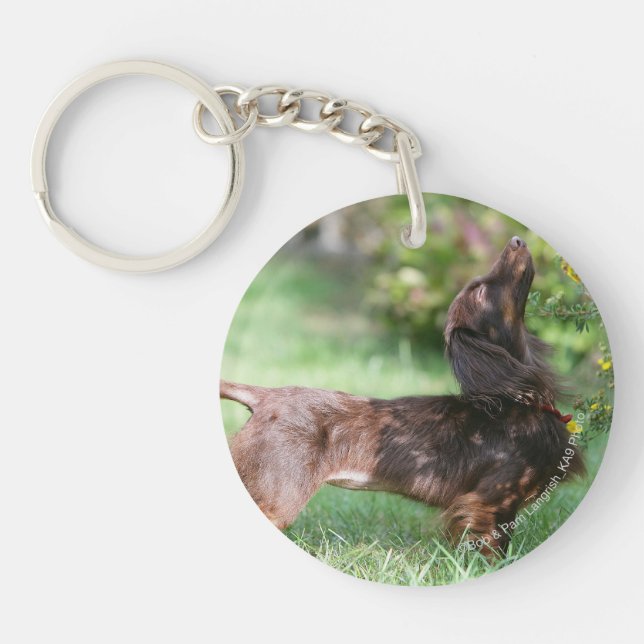 Long-haired Miniature Dachshund 1 Keychain (Front)