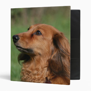 Long-haired Miniature Dachshund 2 Binder