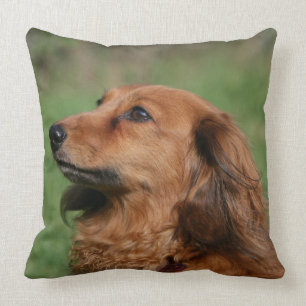 Long-haired Miniature Dachshund 2 Throw Pillow