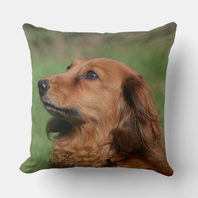 Long-haired Miniature Dachshund 2 Throw Pillow (Front)