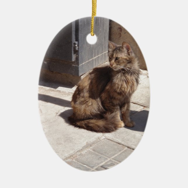 Long Haired Persian Cat Petra Ceramic Ornament (Front)