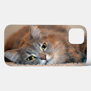 Long Haired Russian Blue Cat by Shirley Taylor iPhone 13 Case