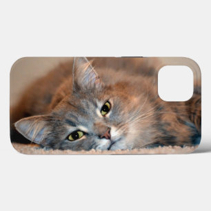 Long Haired Russian Blue Cat by Shirley Taylor iPhone 13 Case