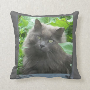 Long Haired Russian Blue Cat Throw Pillow