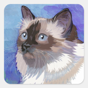 Long-haired Siamese Himalayan Cat Square Sticker