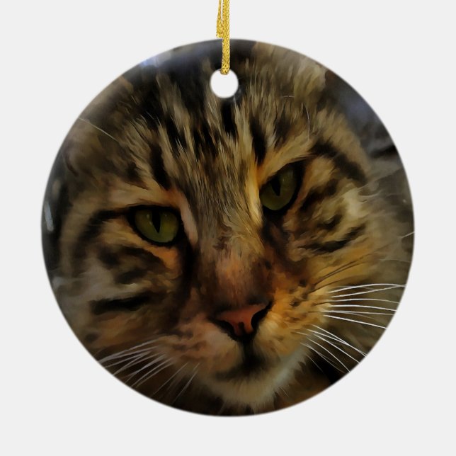 Long Haired Tabby Cat Artistic Pet Portrait v2 Ceramic Ornament (Back)