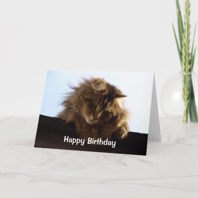 Long-Haired Tabby Cat Birthday Card (Front)