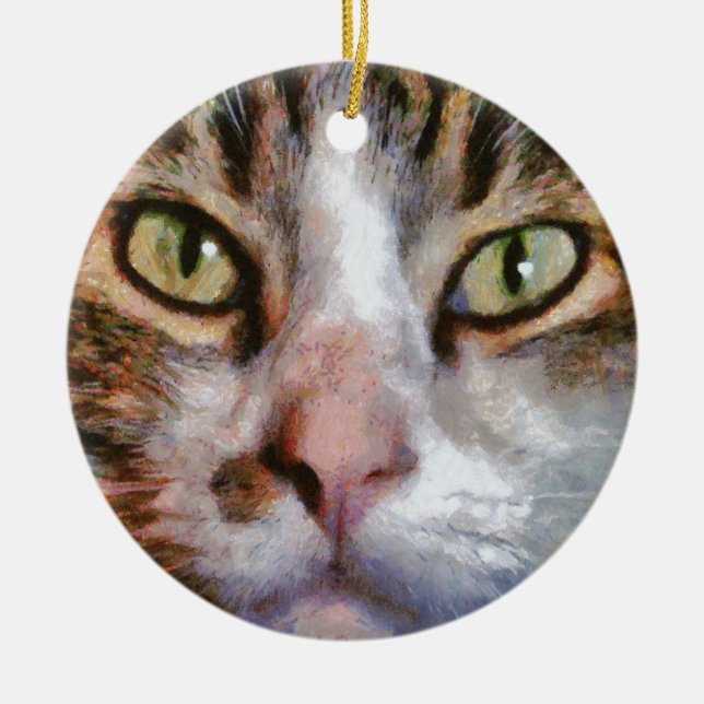Long Haired Tabby Cat Close Up Portrait Ceramic Ornament (Front)