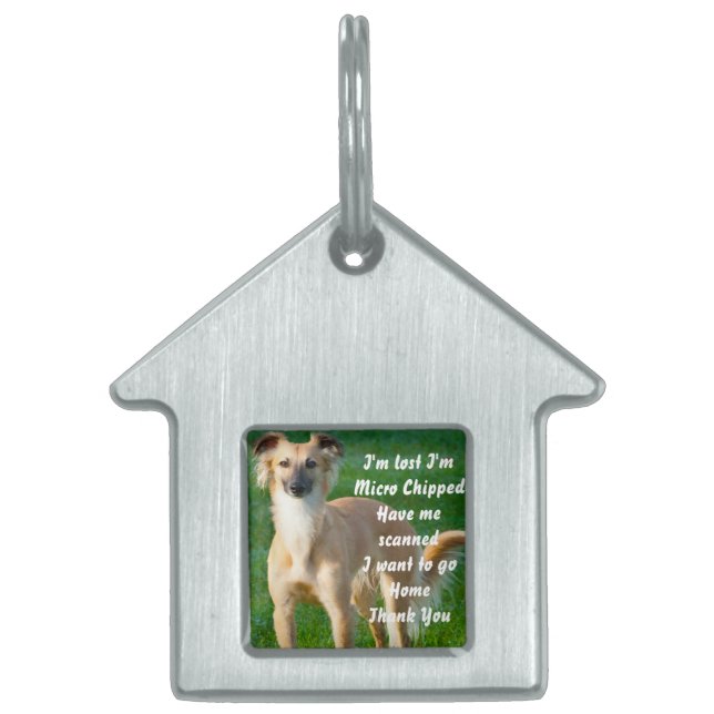 Long haired Whippet Dogs Pet ID Tag (Front)