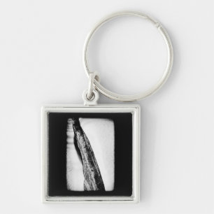long hard cold lonely keychain