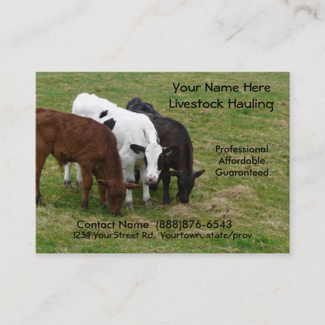 Long Haul  Cattle Trucking Business Card (Front)
