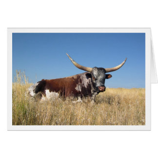 Long Horn