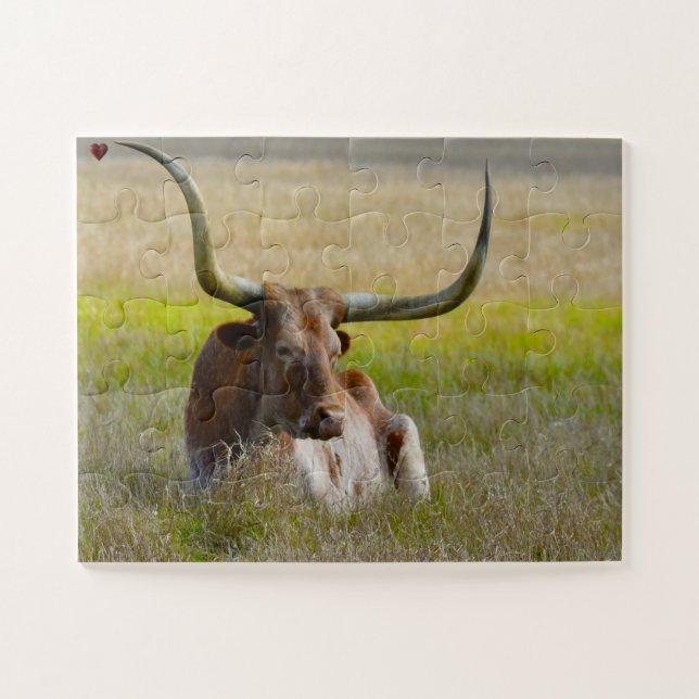 Long Horn Cattle Texas Jigsaw Puzzle (Horizontal)