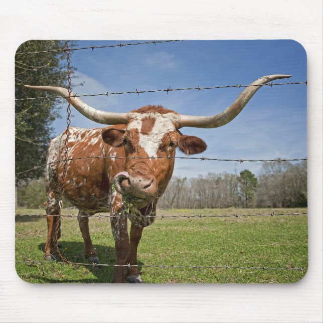 Long Horn Cow Mouse Pad (Front)