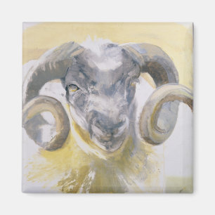 Long Horn Sheep 2 Magnet
