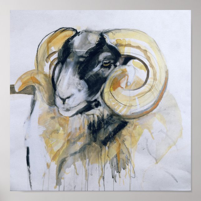 Long Horn Sheep Poster (Front)