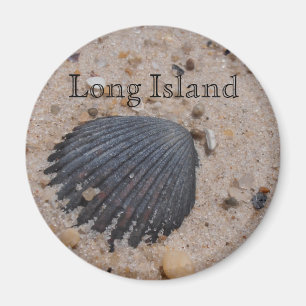 Long Island Scallop shell magnet