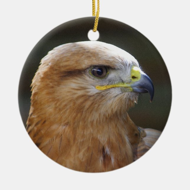 Long-legged Buzzard Ceramic Ornament (Front)