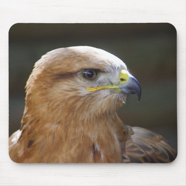 Long-legged Buzzard Mouse Pad (Front)