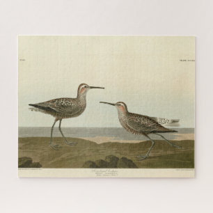Long-legged Sandpiper - Audubon's Birds of America Jigsaw Puzzle