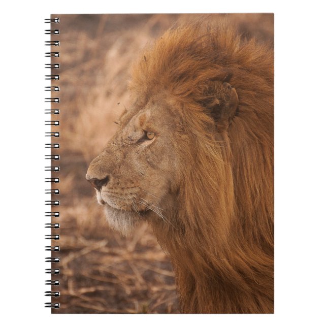 LONG-MANED LION NOTEBOOK (Front)