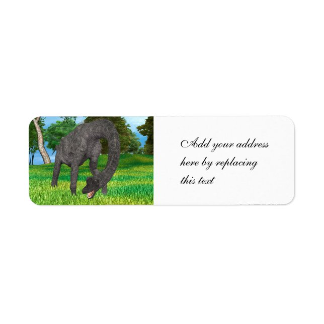 Long Neck Dinosaur Jungle Adventure (Front)