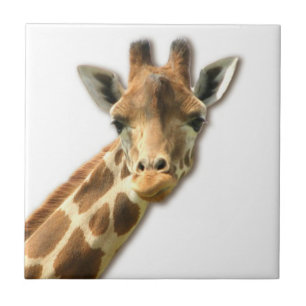 Long Necked Giraffe  Tile