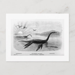 Long-necked sea-lizard art postcard