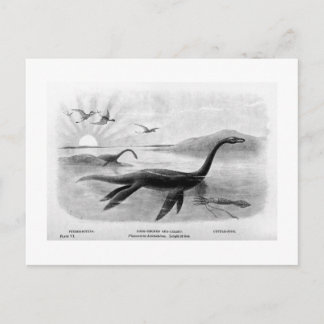 Long-necked sea-lizard art postcard