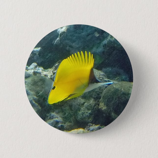 Long Nose Butterfly Fish 2 Inch Round Button (Front)