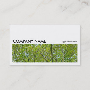 Long Picture 0141 - Japanese Maple Business Card
