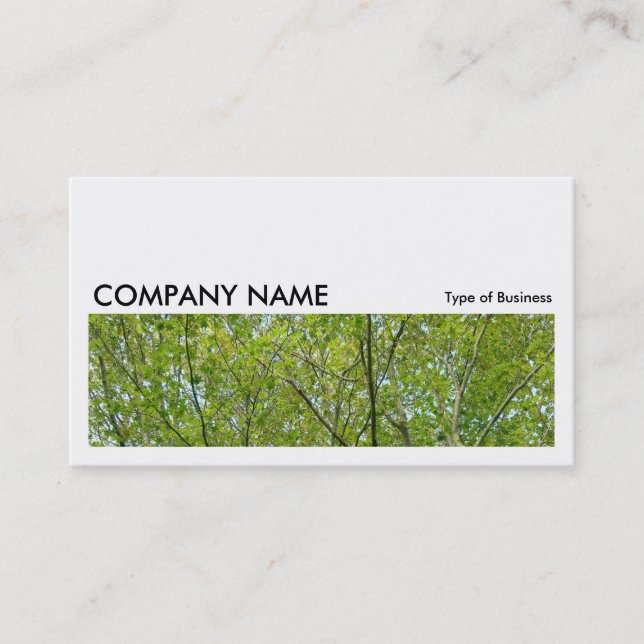 Long Picture 0141 - Japanese Maple Business Card (Front)