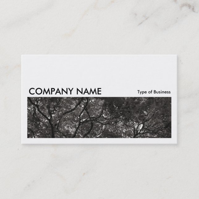 Long Picture 0150 - Japanese Branches 01 Business Card (Front)