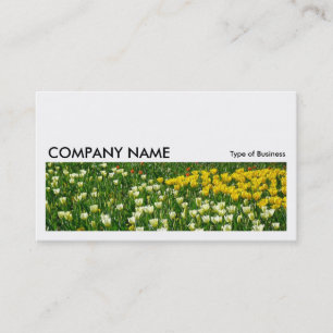 Long Picture 015 - Bed of Tulips Business Card