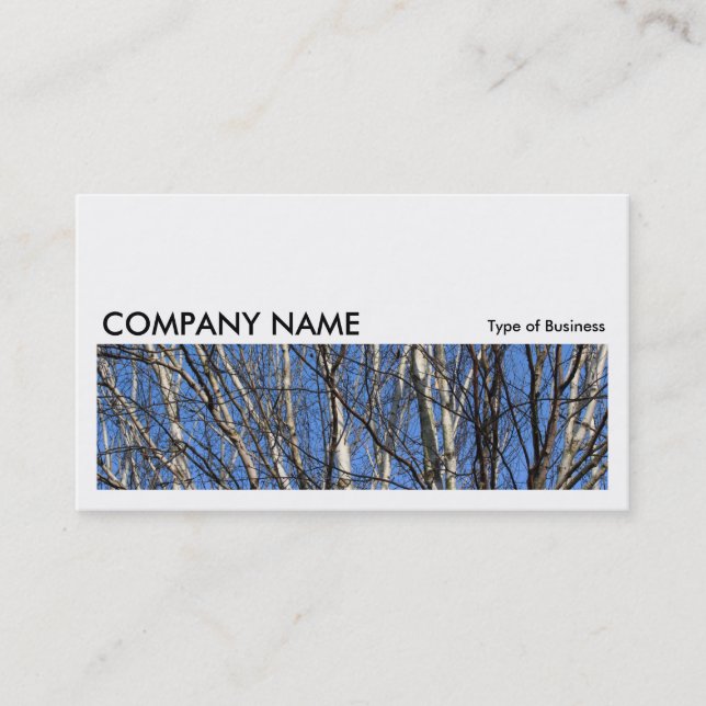 Long Picture 0169 - Silver Birch Branches Business Card (Front)