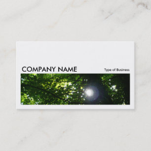 Long Picture 017 - The Sun Through The Trees Business Card
