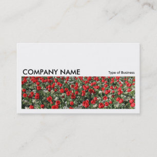 Long Picture 0182 - Red Tulips and Primroses Business Card