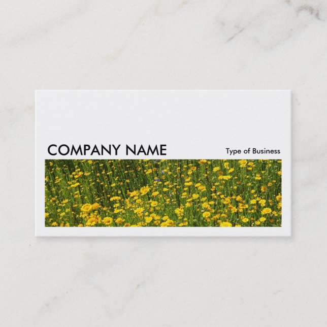 Long Picture 0213 - Bed of Yellow Daisies Business Card (Front)