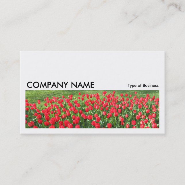 Long Picture 0233 - Bed of Red Tulips 01 Business Card (Front)