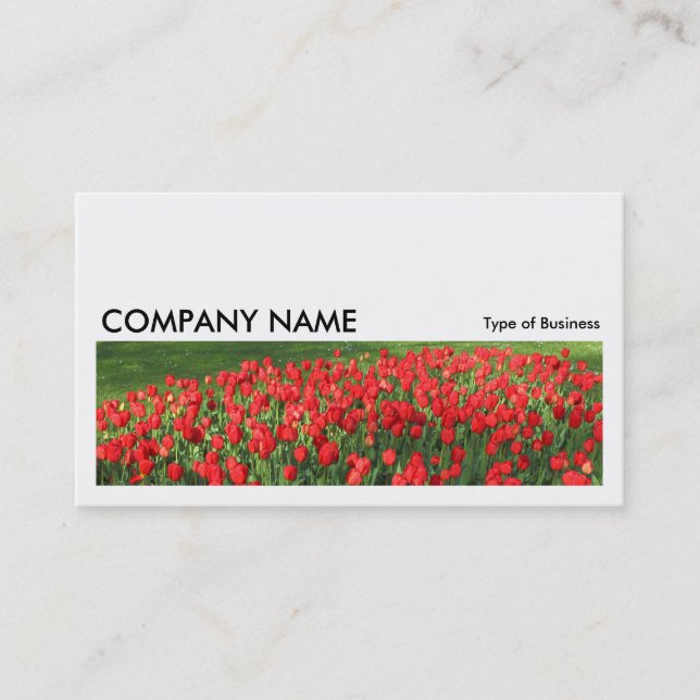 Long Picture 0233 - Bed of Red Tulips 02 Business Card (Front)