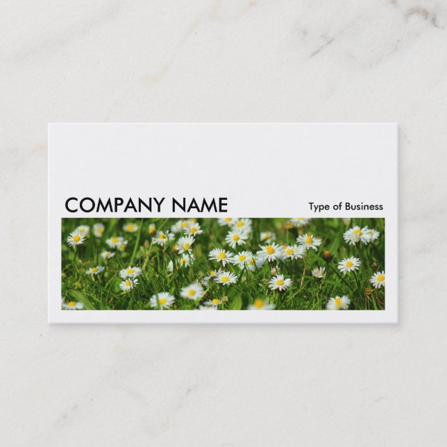 Long Picture 0235 - Daisy Meadow Business Card (Front)