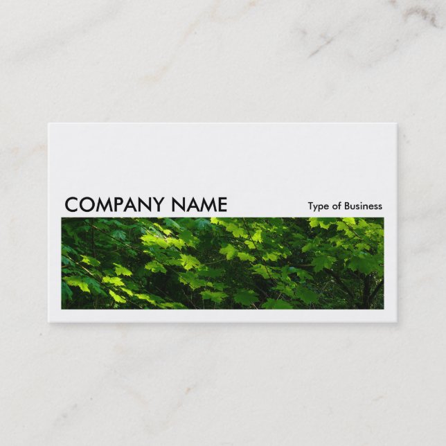 Long Picture 050 - Leaves in Spring Business Card (Front)