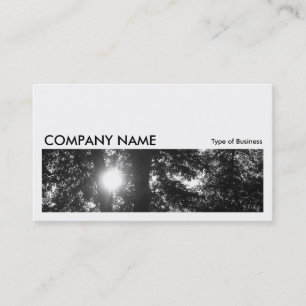 Long Picture 057 - Sun Through Trees B&W Business Card