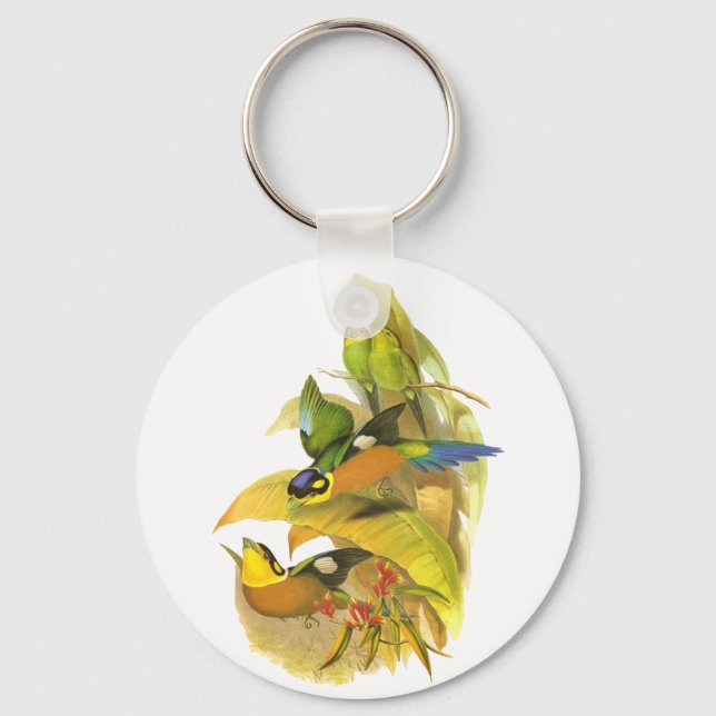 Long-tailed Broadbill Keychain (Front)