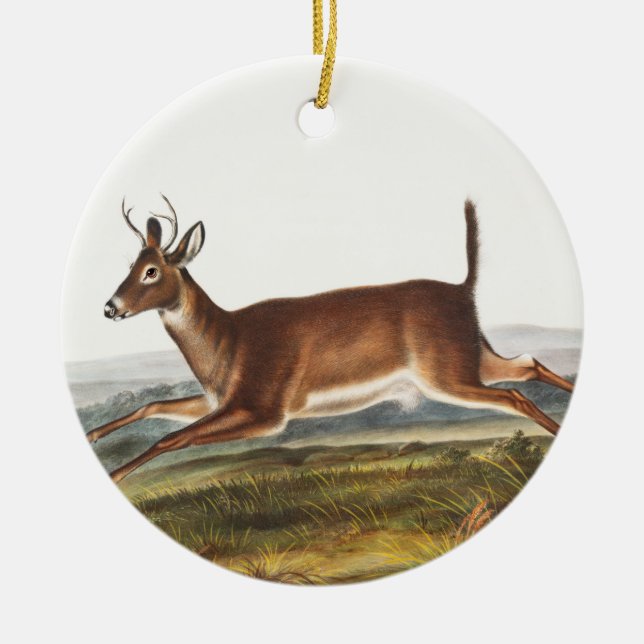 Long-tailed Deer (Cervus leucurus) Illustration Ceramic Ornament (Front)