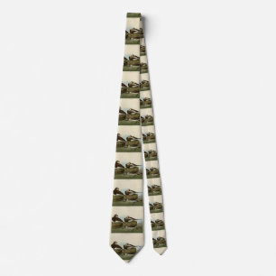 Long-tailed Duck - from Audubon's Birds of America Tie