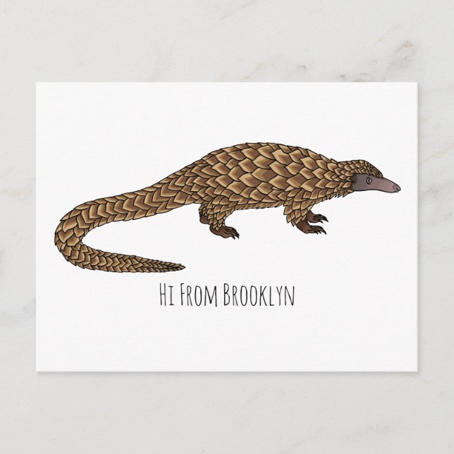 Long-tailed pangolin cartoon illustration postcard (Front)